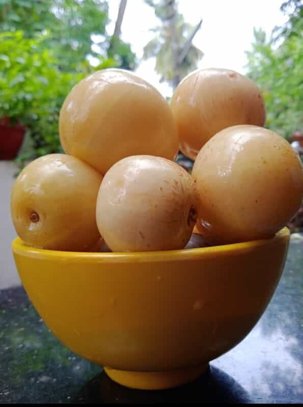 Amla in Brine 500g